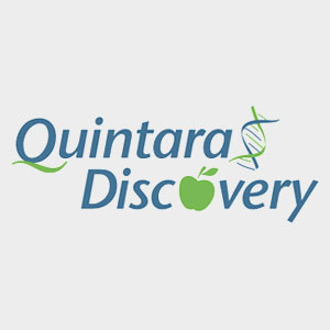 Quintara Discovery 300x300px