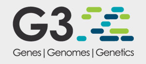 G3 logo 300x133px