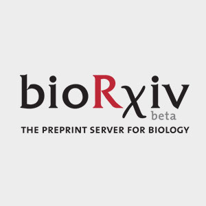 bioRxiv logo 300x300px