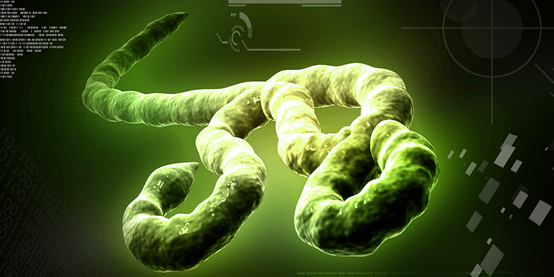 The Niemann-Pick C/Ebola connection